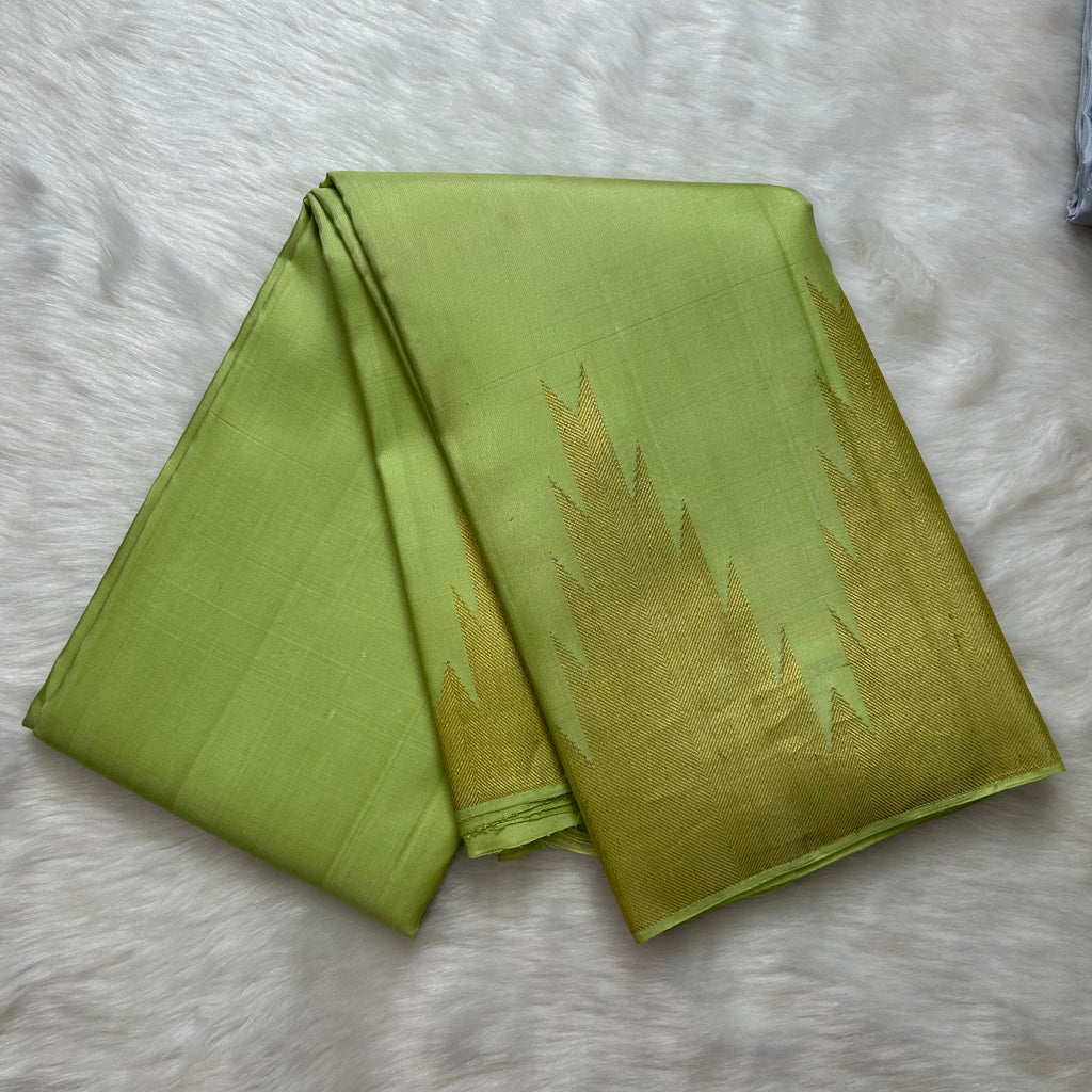 Borderless Kanjeevaram Saree