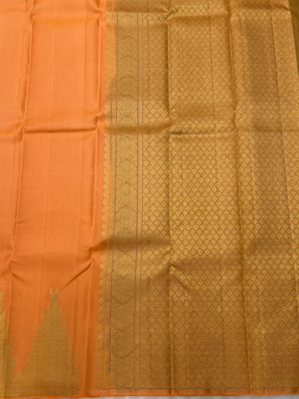 Borderless Kanjeevaram Saree