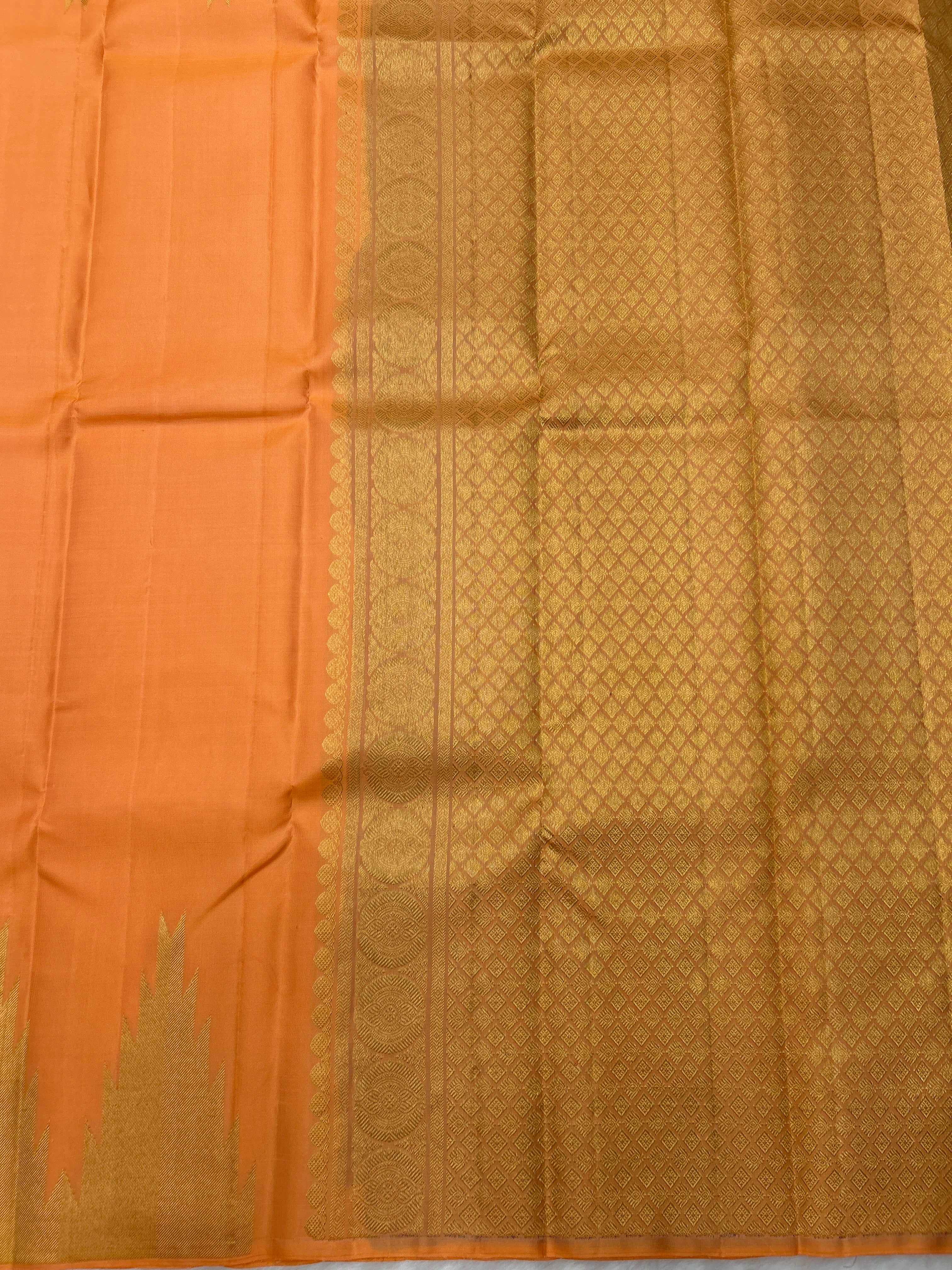 Borderless Kanjeevaram Saree
