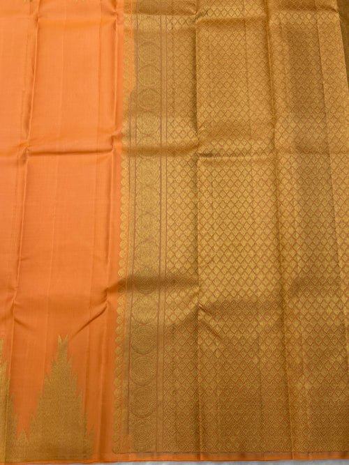 Borderless Kanjeevaram Saree