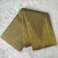 Borderless Kanjeevaram Saree