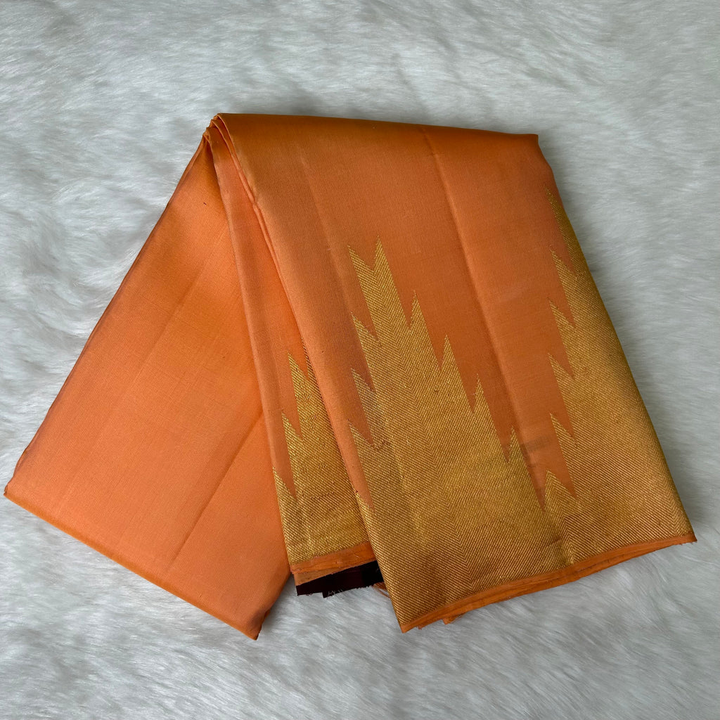 Borderless Kanjeevaram Saree