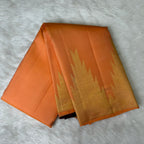 Borderless Kanjeevaram Saree
