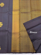Coffee Brown Borderless kanjeevaram saree with Gandaberunda motif