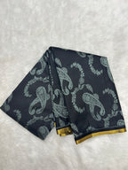 Kanjeevaram silk saree
