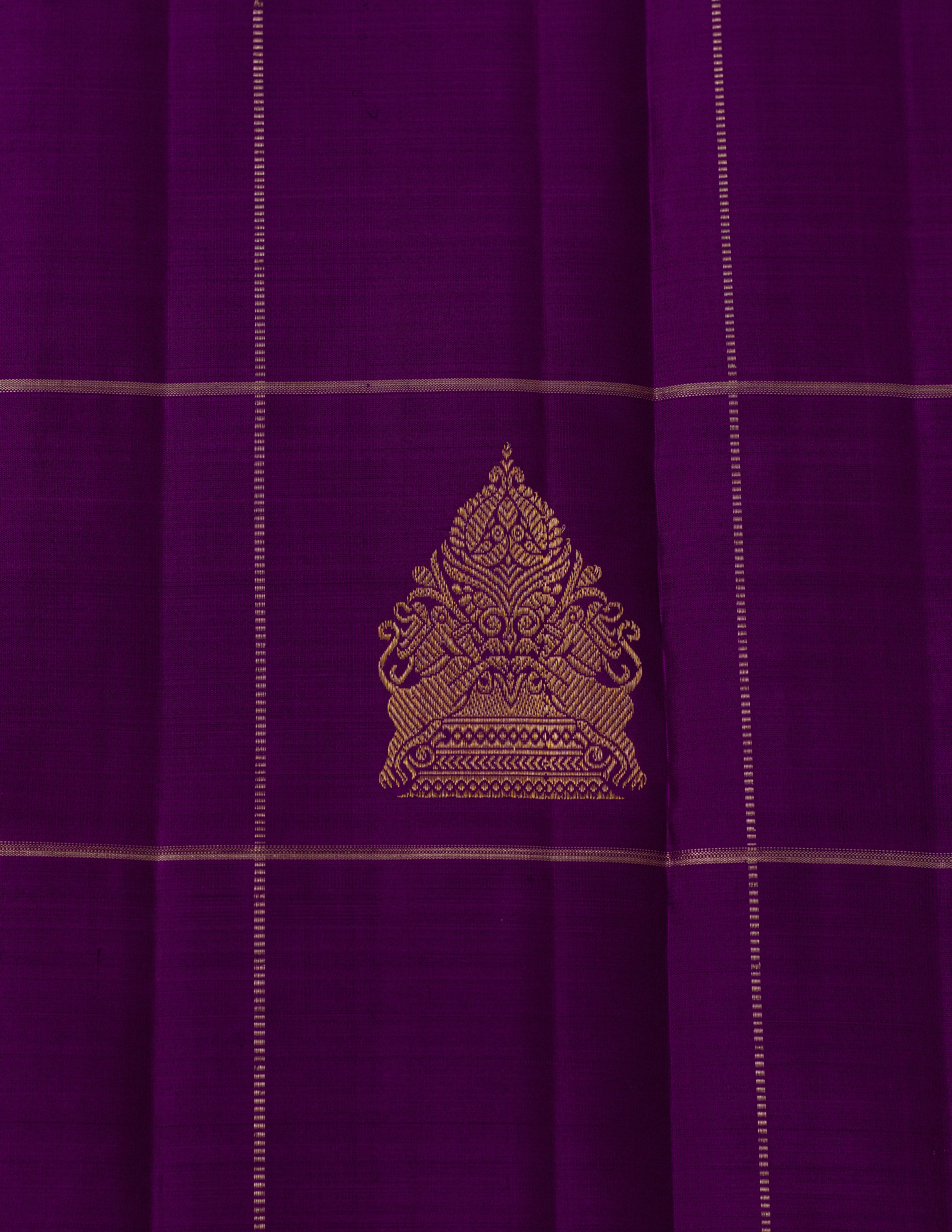 Borderless Kanjeevaram Saree with contrast Pallu & Blouse