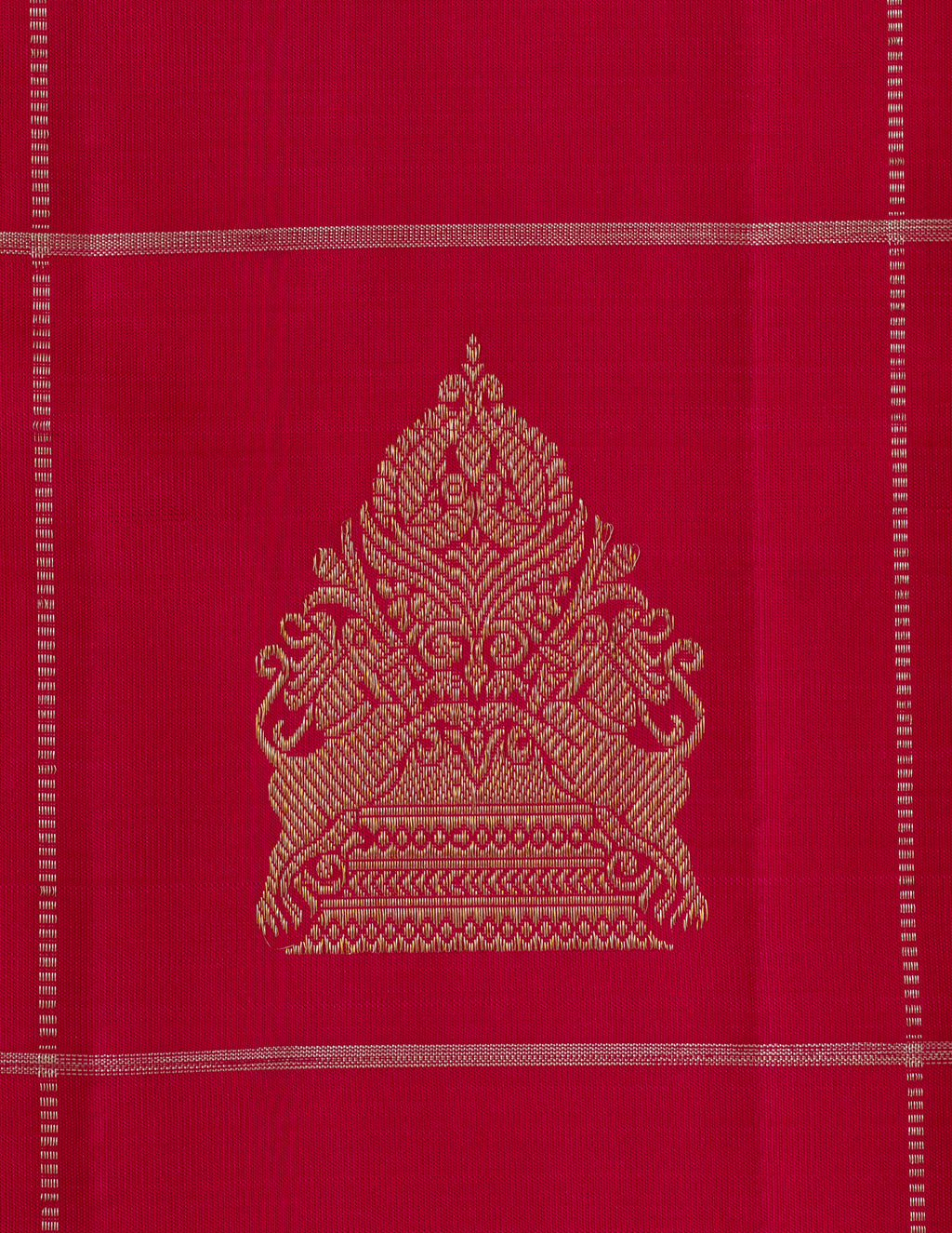 Vintage Borderless Kanjeevaram Saree