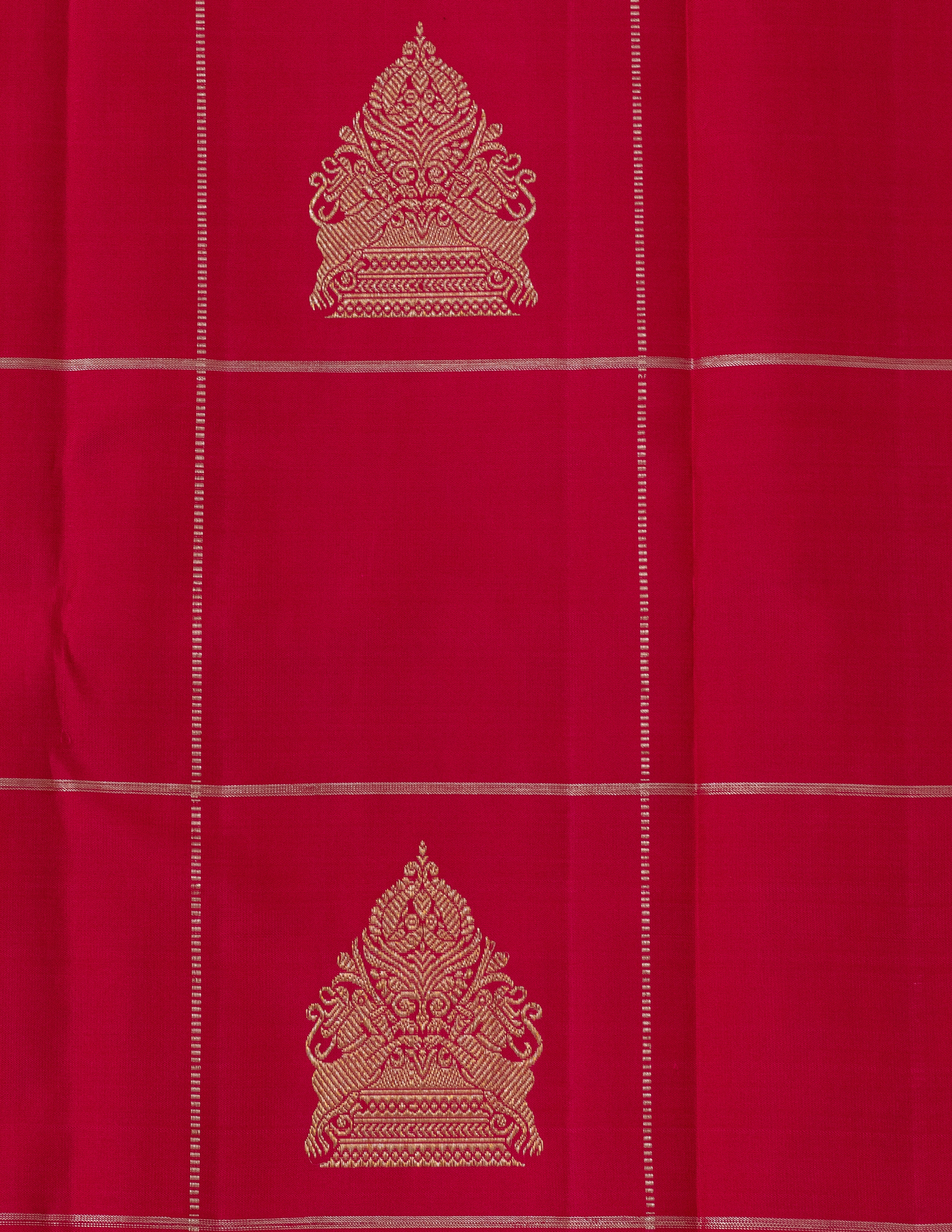 Vintage Borderless Kanjeevaram Saree