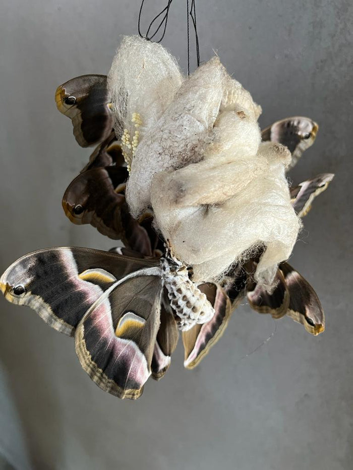 What is Eri Silk?